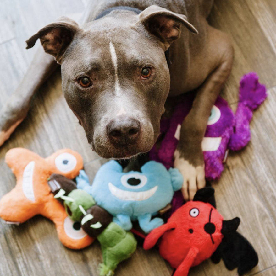 PLAY Animal Beds and Toys